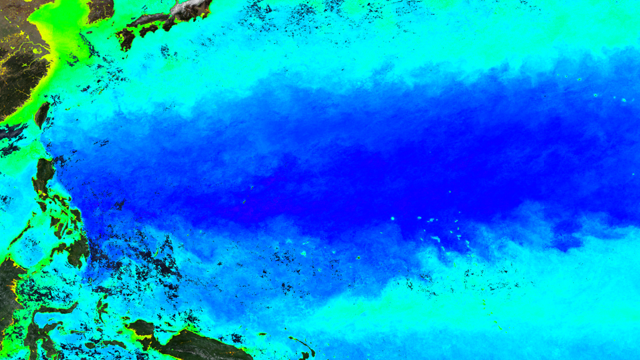 OCView layer: Chlorophyll-a