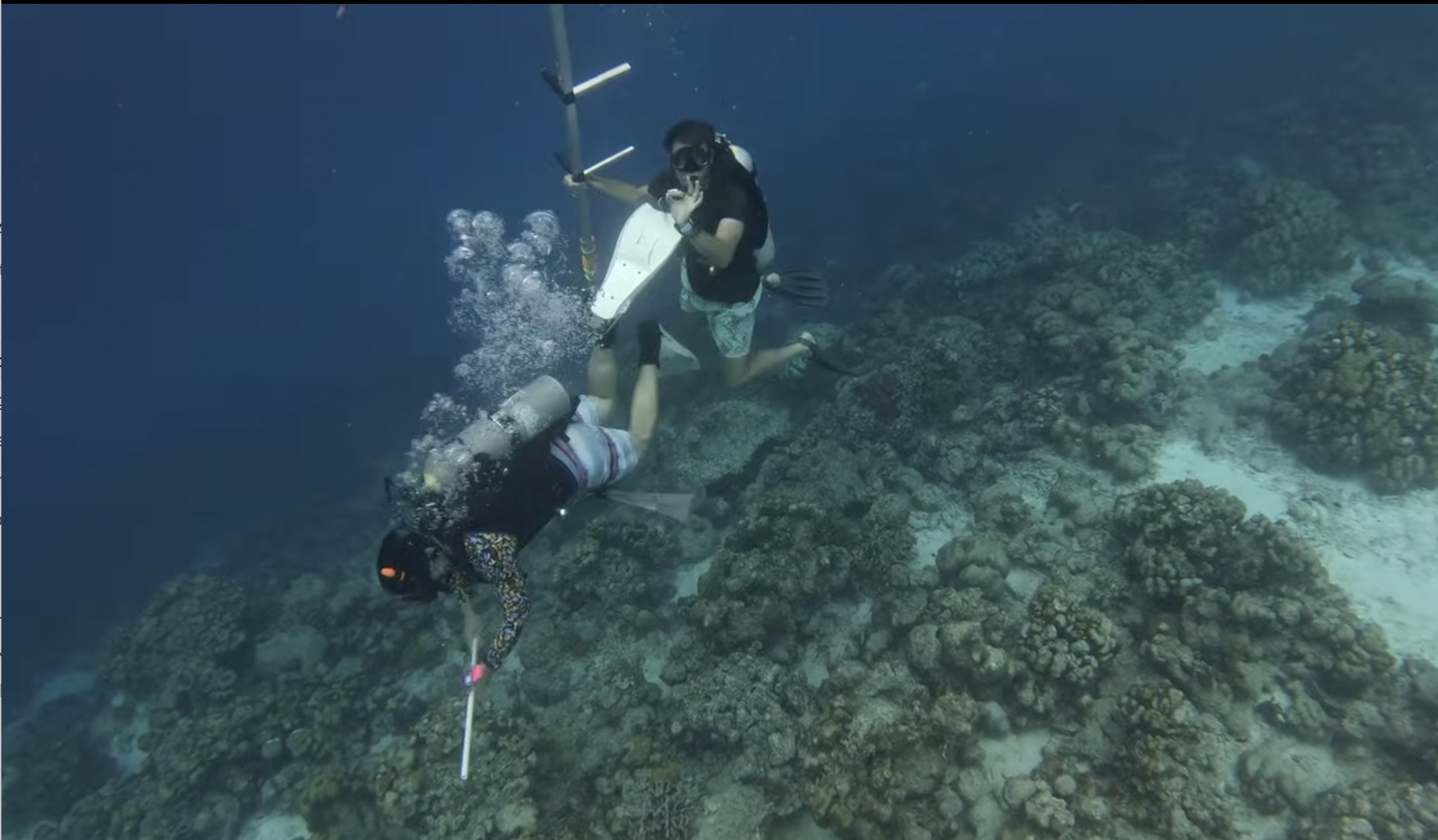 Three research divers documenting a coral reef underwater.